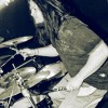 devildriver_p2009_001