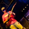 living_colour_p2009_13
