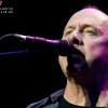 mark_knopfler_p2010_18
