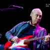 mark_knopfler_p2010_31