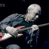 mark_knopfler_p2010_37