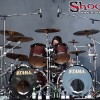 testament_p2004_02