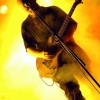wackor_p2004_67