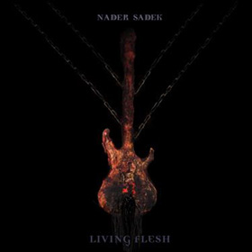 nadersadek_c