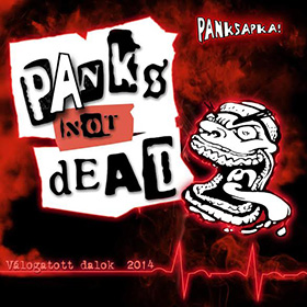 1213panksapka