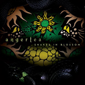 0130angerteac