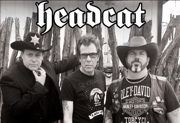 0507headcat