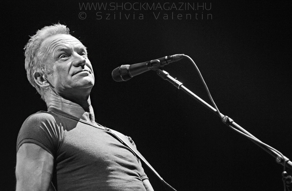 sting_k2017_04