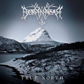 borknagar_c