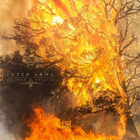 interarma_c