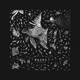 plini_c