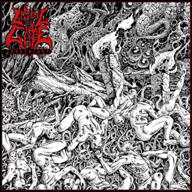 livinggate_c