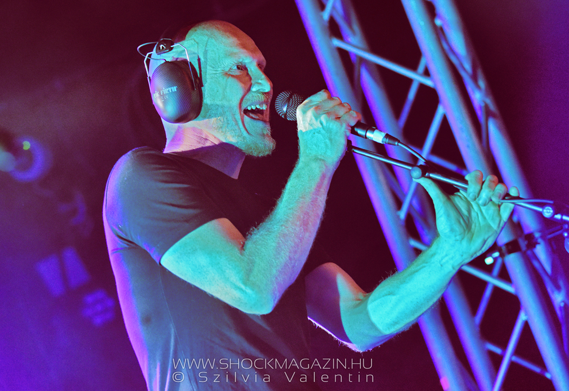 thepineapplethief_k2021_05