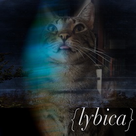 lybica_c