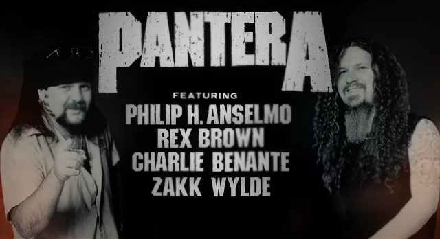 1130pantera