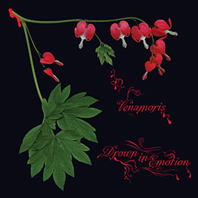 venamoris_c