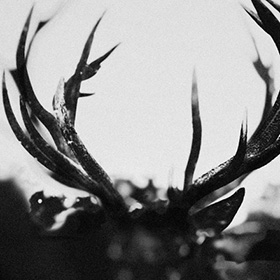 ihsahn_c