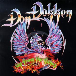 dondokken_1